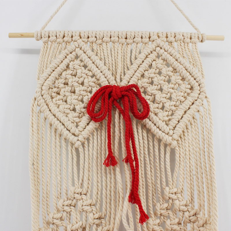 Macrame Plant Hanger
