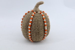 Pumpkin 2020554-A2