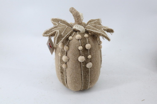 Pumpkin 2020075-N1