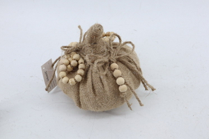 Pumpkin 2020065