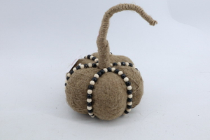 Pumpkin 2020553-D3